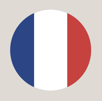 bandera francesa